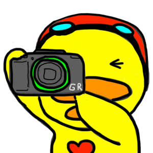 オート撮影モードでRICOH GRⅡの試し撮り!【子供、ギター、電車